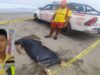 Cañete: Policía de Salvataje de Lima recupera cuerpo de joven ahogado en playa Los Reyes