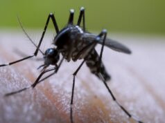 Dengue: Más de 1.3 millones de intervenciones de control larvario en el 2025