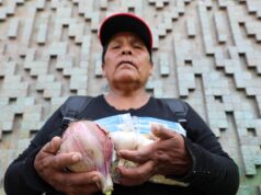 Tía María: Agricultores del Valle de Tambo presentan demanda de amparo y empresa insiste en criminalizar a defensores