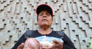 Tía María: Agricultores del Valle de Tambo presentan demanda de amparo y empresa insiste en criminalizar a defensores