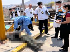 Ministerio Público inició investigación por el crimen ocurrido contra un hombre en Independencia