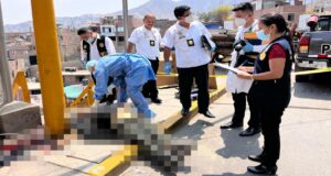 Ministerio Público inició investigación por el crimen ocurrido contra un hombre en Independencia