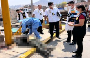 Ministerio Público inició investigación por el crimen ocurrido contra un hombre en Independencia