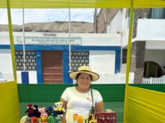 El arte del junco en el Country Club El Bosque