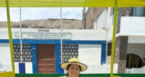 El arte del junco en el Country Club El Bosque