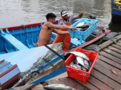 Pucusana: intentan asesinar de un balazo a un pescador por negarse a pagar cupos a extorsionadores