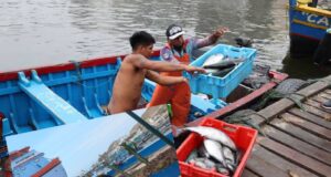 Pucusana: intentan asesinar de un balazo a un pescador por negarse a pagar cupos a extorsionadores