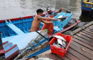 Pucusana: intentan asesinar de un balazo a un pescador por negarse a pagar cupos a extorsionadores