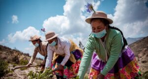 El rol crucial de las mujeres rurales en la agricultura familiar peruana