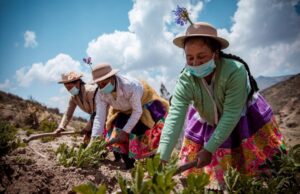 El rol crucial de las mujeres rurales en la agricultura familiar peruana