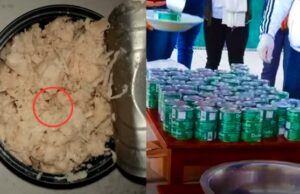 La misma vaina con diferente pollera