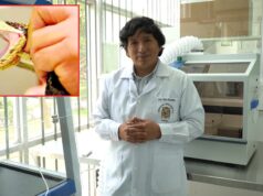 San Marcos investiga el veneno de serpientes peruanas para producir péptidos contra el cáncer