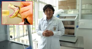 San Marcos investiga el veneno de serpientes peruanas para producir péptidos contra el cáncer