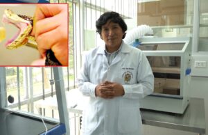San Marcos investiga el veneno de serpientes peruanas para producir péptidos contra el cáncer