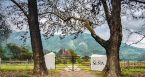 ¡Vinos de Lujo! Viñedos Chadwick y Seña llegan a Lima gracias a Perufarma