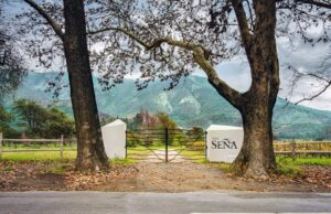 ¡Vinos de Lujo! Viñedos Chadwick y Seña llegan a Lima gracias a Perufarma