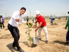 Empresa privada impulsa arborización masiva en Los Olivos