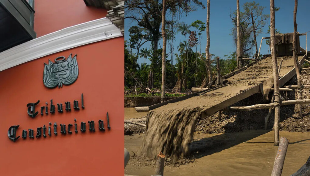 Tribunal Constitucional veta impunidad para mineros informales