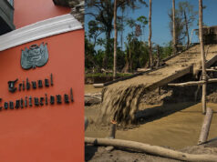 Tribunal Constitucional veta impunidad para mineros informales