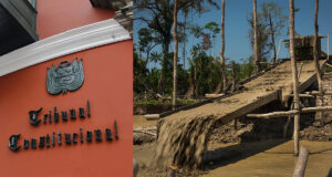 Tribunal Constitucional veta impunidad para mineros informales