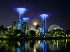 Acuerdo entre Perú y Singapur impulsará el desarrollo de proyectos de carbono