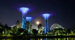 Acuerdo entre Perú y Singapur impulsará el desarrollo de proyectos de carbono