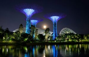 Acuerdo entre Perú y Singapur impulsará el desarrollo de proyectos de carbono