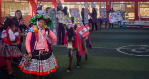 Platero y Pituca:los compañeros de cuatro patas que impulsan el aprendizaje