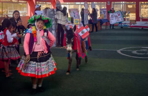 Platero y Pituca:los compañeros de cuatro patas que impulsan el aprendizaje