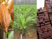 Perú debe enfocarse en diversificar su producción y sus exportaciones.