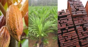 Perú debe enfocarse en diversificar su producción y sus exportaciones.