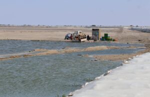 Dique recién construido colapsa y pone en riesgo maricultura en Sechura