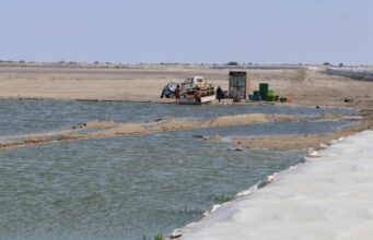 Dique recién construido colapsa y pone en riesgo maricultura en Sechura