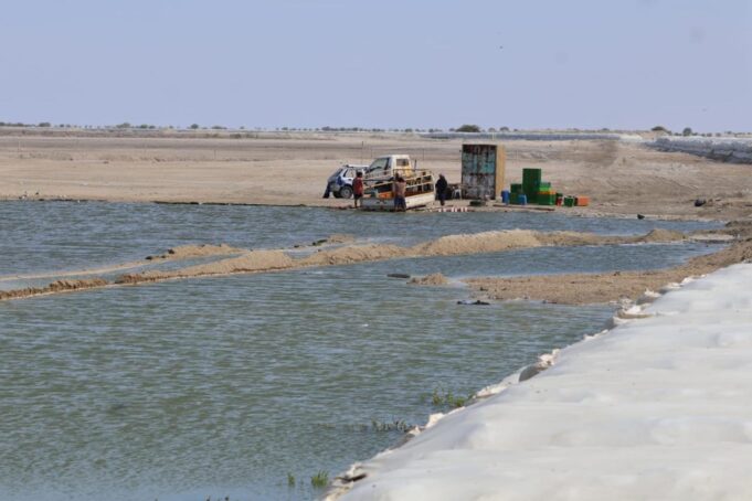 Dique recién construido colapsa y pone en riesgo maricultura en Sechura