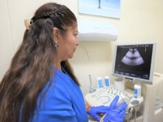 Minsa: 25 % de las niñas y adolescentes presentan anemia por sangrados menstruales