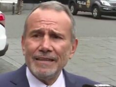 Canciller Schialer lamentó que vetaran el viaje de Boluarte