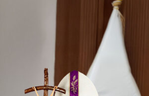 Carlos Castillo Mattasoglio, el sanmarquino que podría ser papa