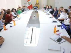 Distritos de la DIRIS Lima Este definen sus 10 prioridades sanitarias