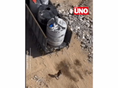 El grito silencioso de Gaza: niño persigue camión de agua en medio de la crisis humanitaria (video)