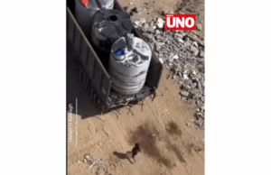 El grito silencioso de Gaza: niño persigue camión de agua en medio de la crisis humanitaria (video)