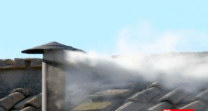 ¡Habemus Papam!: humo blanco anuncia la elección del nuevo líder de la Iglesia Católica