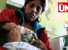 Tos ferina: Perú supera los 650 casos en el mayor brote de la década