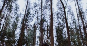 Surandino, el orgullo wanka, dará espectacular concierto de gala