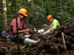 Apoyo psicosocial fortalece a Castañeros y la protección de los bosques en Madre de Dios