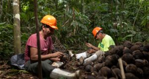 Apoyo psicosocial fortalece a Castañeros y la protección de los bosques en Madre de Dios