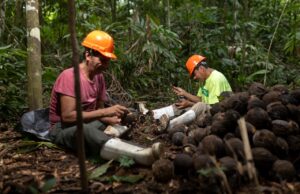 Apoyo psicosocial fortalece a Castañeros y la protección de los bosques en Madre de Dios