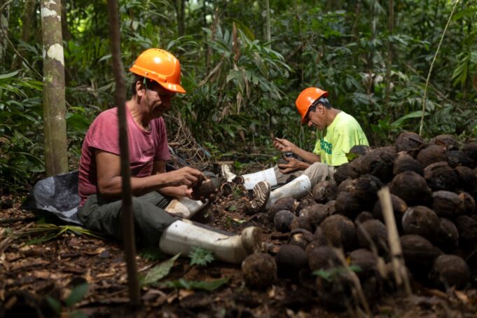 Apoyo psicosocial fortalece a Castañeros y la protección de los bosques en Madre de Dios