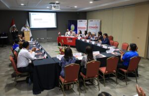 MIMP Conadis y 17 gobiernos regionales participan en mesa de trabajo nacional descentralizada en Tumbes