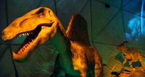¡Dinosaurios gigantes invaden Lima!. Por primera vez, presentan al Titanosaurus, de 8 metros de altura