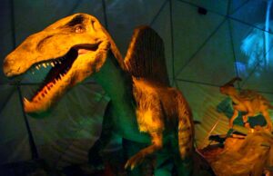 ¡Dinosaurios gigantes invaden Lima!. Por primera vez, presentan al Titanosaurus, de 8 metros de altura